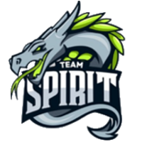 Team Spirit Academy